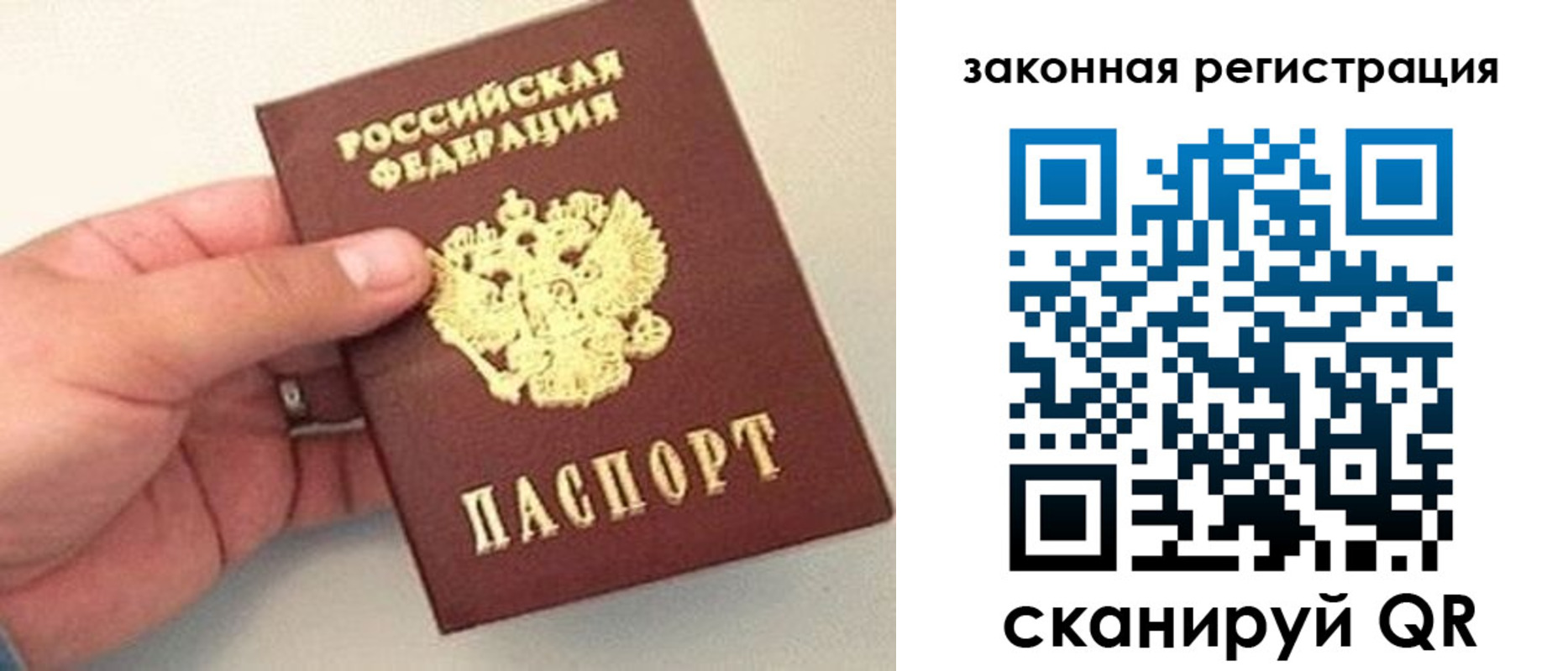 прописка для школы в Дальнегорске